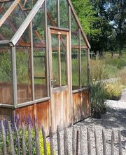 Aquilegia Im Garten Zuhause GmbH Bild 5