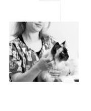 Cabinet Vétérinaire Karen Charlet image 1