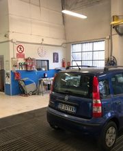 Gallery Cliente
