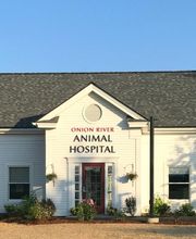 Onion River Animal Hospital image 17