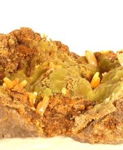 Roig Raymond image 6