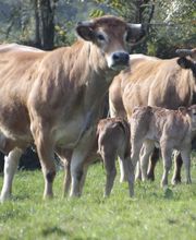 Terroir et Traditions image 10