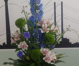 Blumen Belga Bild 6