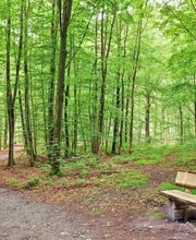 FriedWald Buxtehude Bild 12