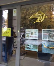 Gallery Cliente