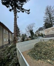 WhatsApp Bild 2025-03-31 um 09.39.38_97c286ca.jpg