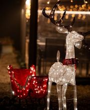 Restaurant Fischerhaus Bild 11