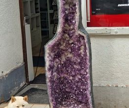 N-G-L-Shop Bild 2