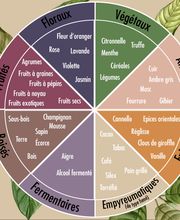 Isabelle Mougel image 5