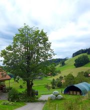 Baummensch GmbH Bild 2