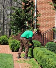 Lewis Enterprises LLC image 1