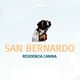 Residencia Canina San Bernardo