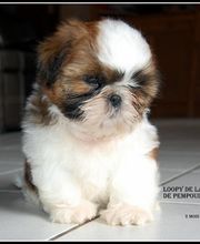 Sandrine Le Rest image 10