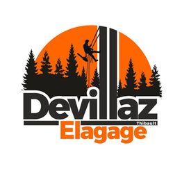 Devillaz Elagage
