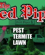 Pied Piper Pest, Termite & Lawn Service image 5
