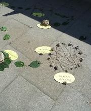 Altmühltaler Abenteuerpark Bild 15