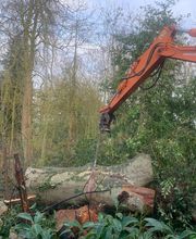 Christophe Espaces Verts image 8