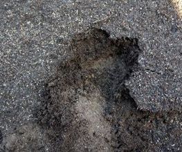 foto3-sabospa.jpg