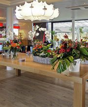 ibis Bulle la Gruyere Bild 4