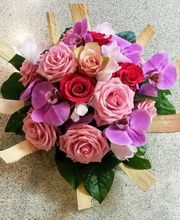 La Rose Rouge image 2