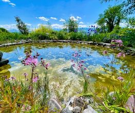 Wildblumendienst Bild 12
