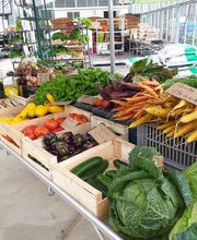 Le Saint Horticulture image 6