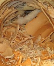 Détartrage Services SA Bild 8