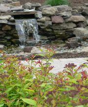 Memory Garden image 5