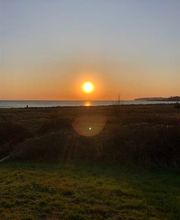 Super Hundeurlaub Bild 13