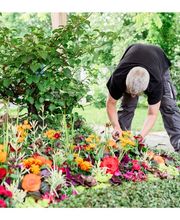 Genossenschaft Kölner Friedhofsgärtner eG Bild 8