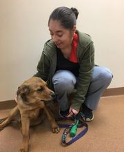 Manchester Veterinary Clinic image 3
