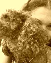 Keep Cool Dog image 13