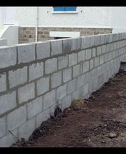 Rosenty Tony image 4