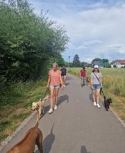 PAWtner Hundetraining Sabrina Rösch Bild 8