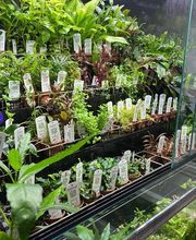 Aquasalvaje imagen 9