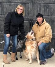 Dog Guard Midwest image 15