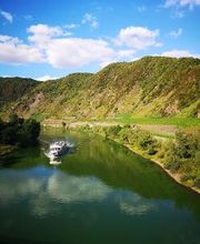 Villa Hausmann - Urlaubsweingut bei Cochem an der Mosel Bild 3
