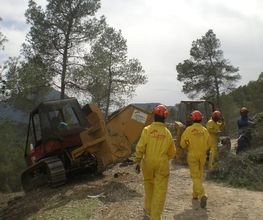 195098439-1-4PAluZ17Qc1782194286226.jpeg
