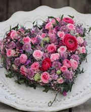 Gerber & Nyffeler Pflanzen Floristik AG Bild 3