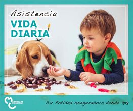 montepio-de-conductores-vida-diaria-1.jpg
