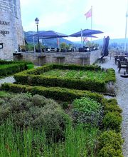 La Mandragore image 18