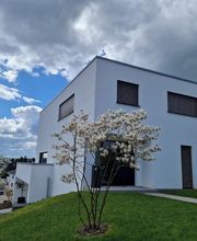 Olk ImmoPartner GmbH Bild 7