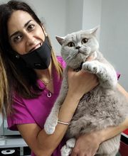 Centro Veterinario Maccauro immagine 5