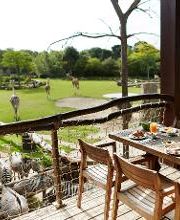 Kiwara-Lodge Bild 2