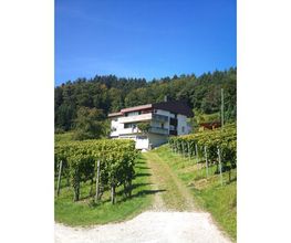 Weingut Sonnenberg Bild 1