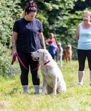 Agil'Canin 36 image 11