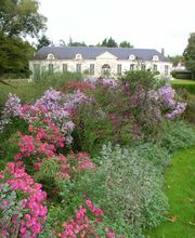 Fuchs Magali image 16