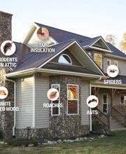 Ecola Termite and Pest Control Services image 4