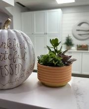 East Endodontic Dental Specialists image 4