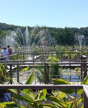Les Jardins D'Eau image 4